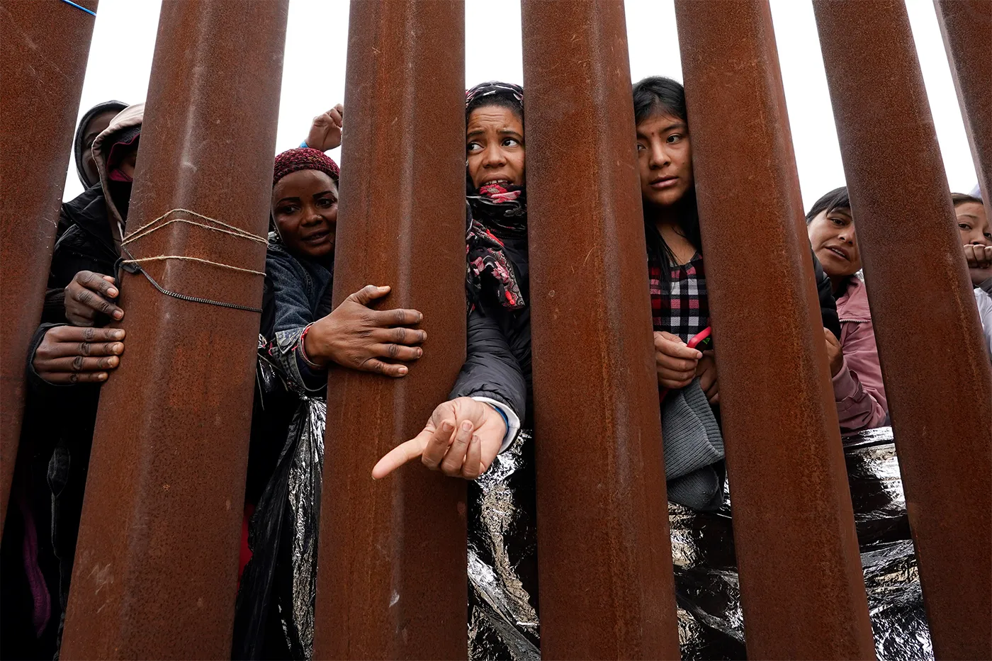 Immigration Law